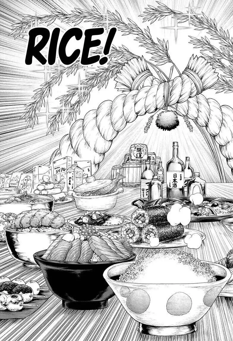 Dr. Stone Chapter 211 10